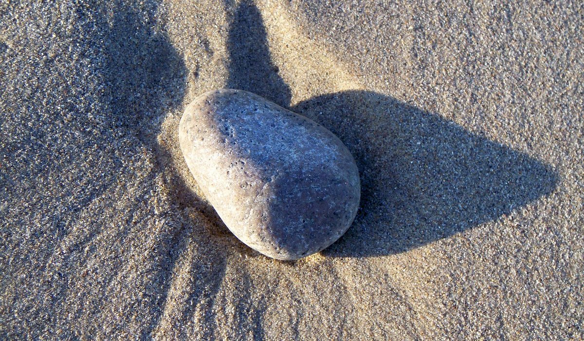 Family Beach Days Without The Environmental Guilt