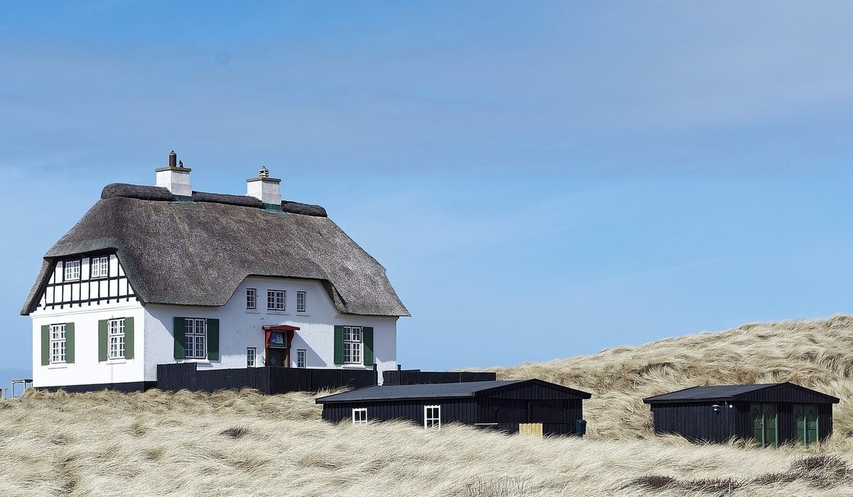 How To Forage Seaweed Responsibly At Low Tide