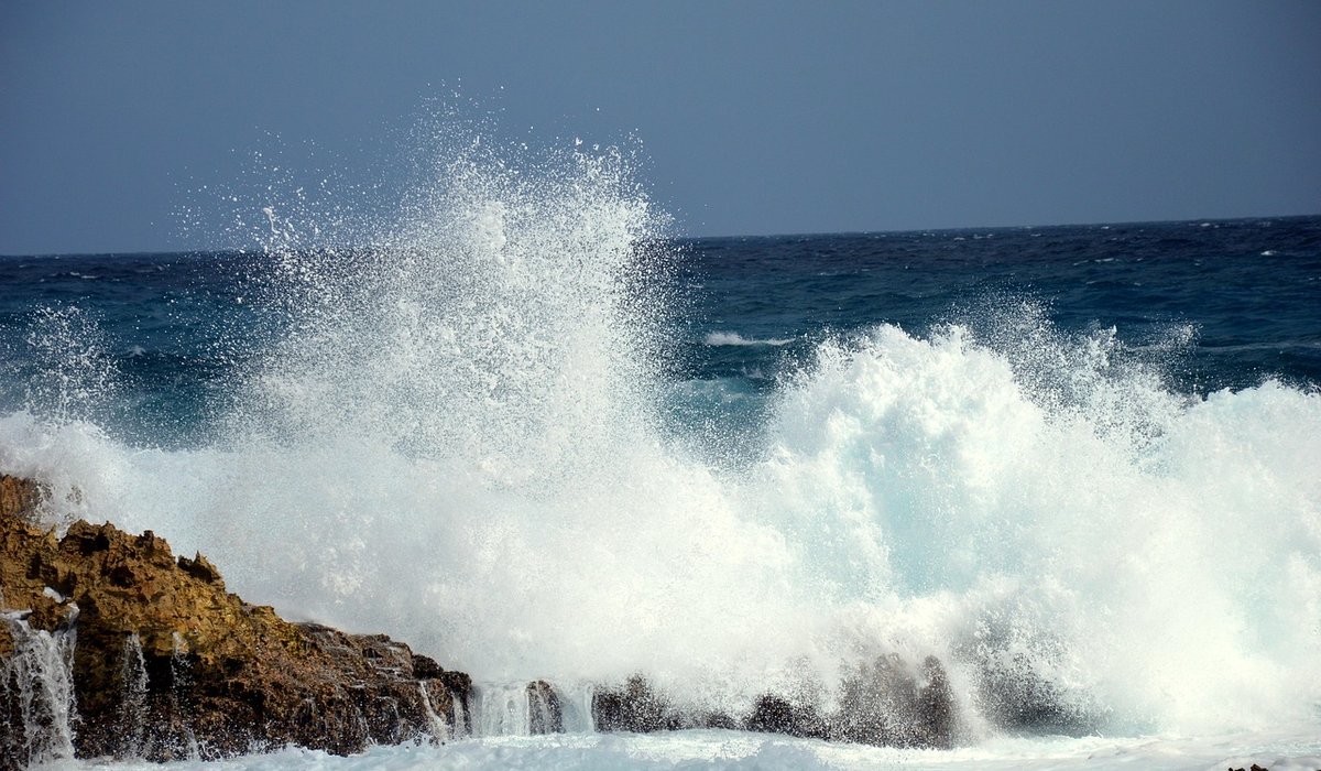 Wildlife-Friendly Ways To Enjoy Coastal Camping